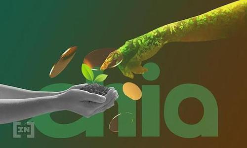 租用恒訊科技的chia服務(wù)器有何優(yōu)勢？.jpg