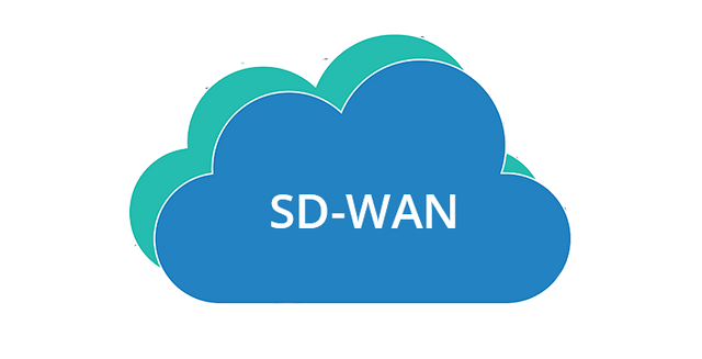 強大的SD-WAN有何特征？.png
