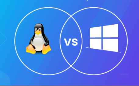 如何在Linux和Windows上優化VPS性能？.png