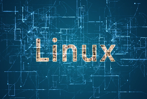 65bc91e63ee69.png 在Linux終端上如何實現文本流的動態顯示?.png