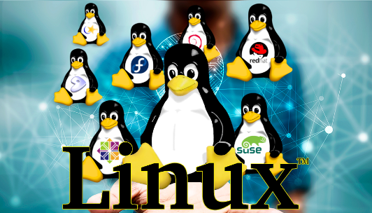 65d5a2e2ab86a.png linux分區滿了怎么辦?.png